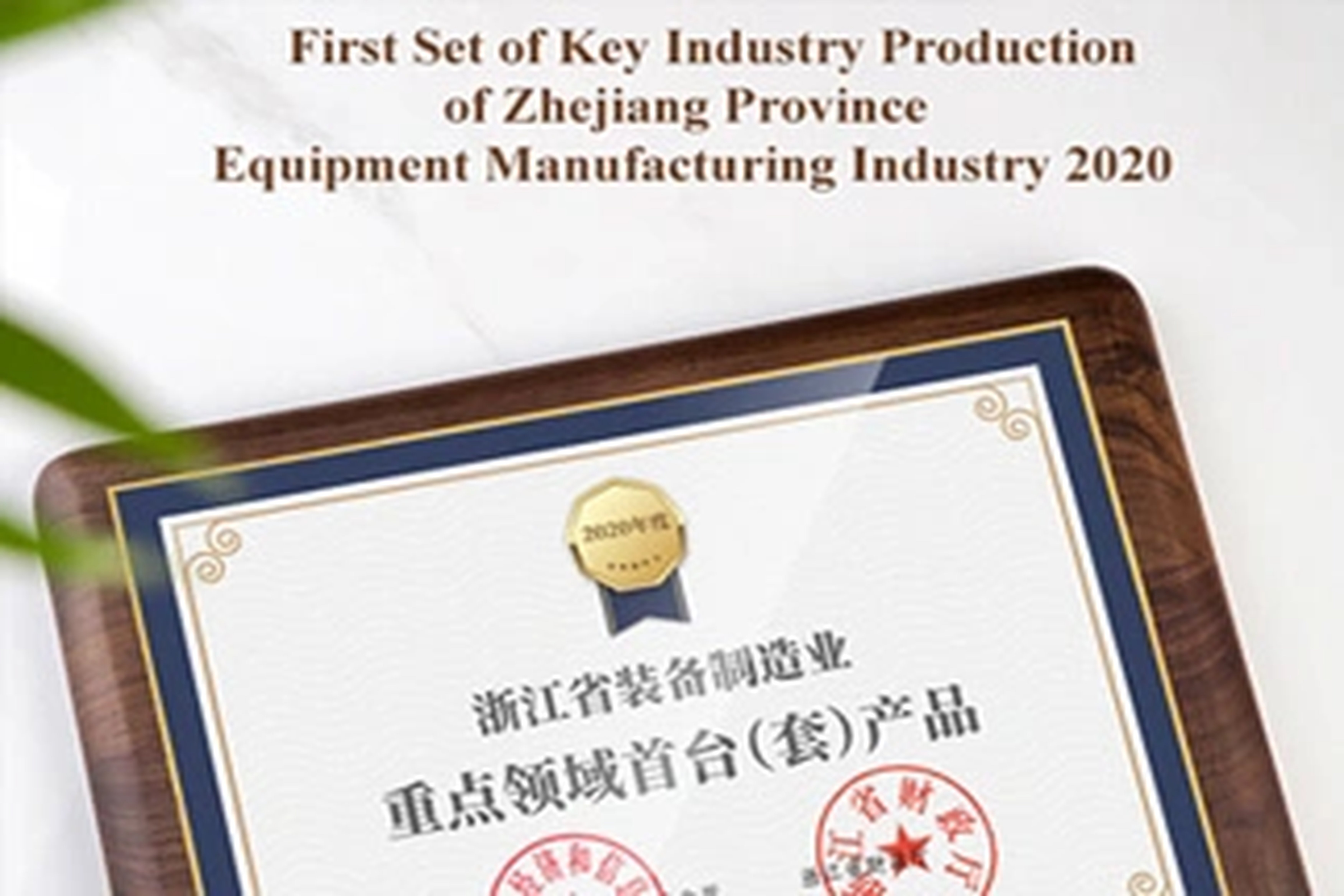 荣誉 | 冠军国际能源在2020年桐庐经济与产业发展大会上获得三项大奖！